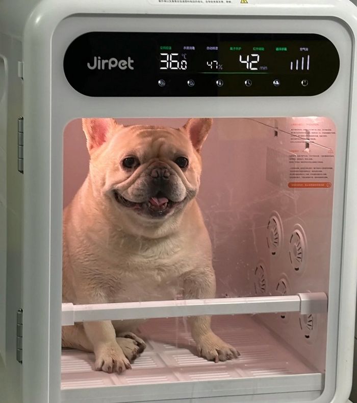 애니멀플래닛
