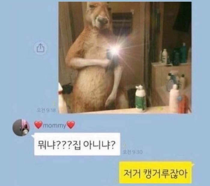 애니멀플래닛