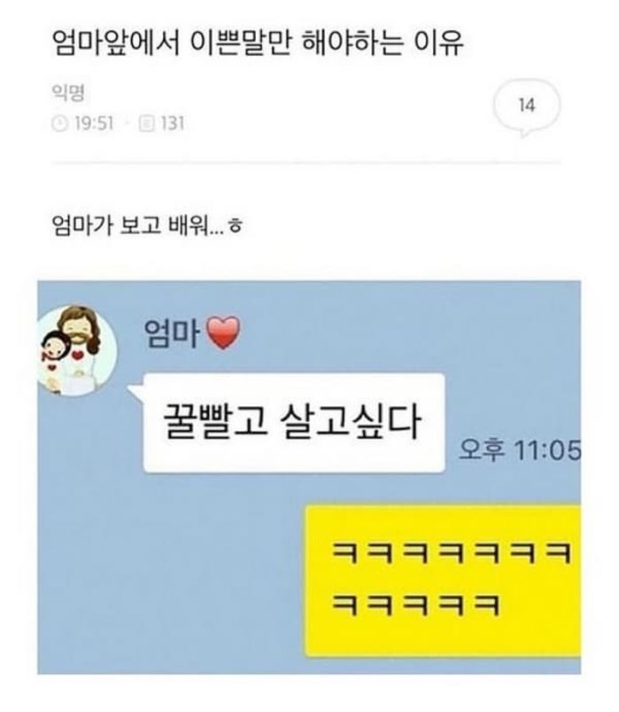 애니멀플래닛
