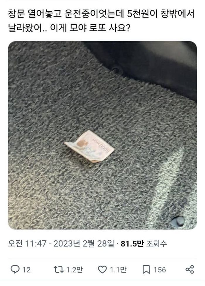 애니멀플래닛