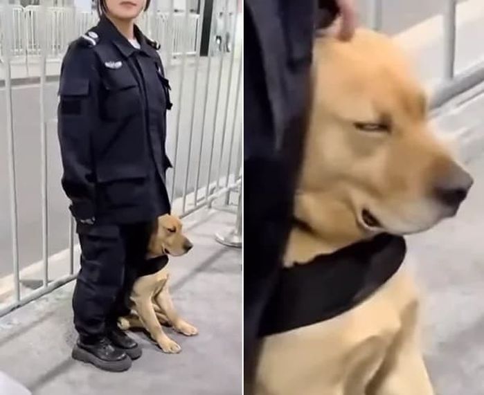 애니멀플래닛
