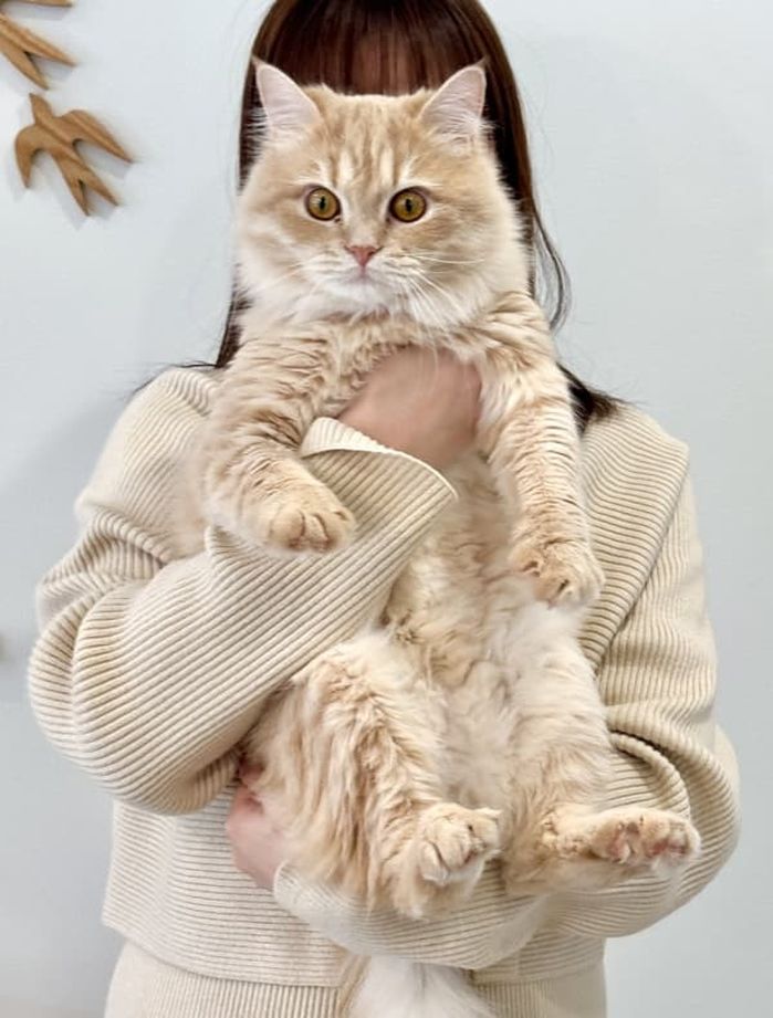 애니멀플래닛