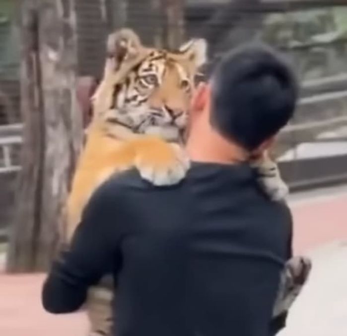 애니멀플래닛