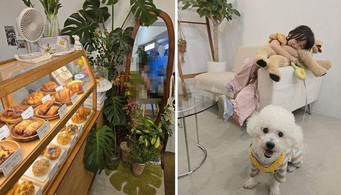 애니멀플래닛