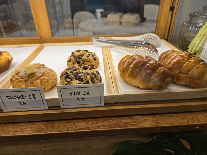 애니멀플래닛