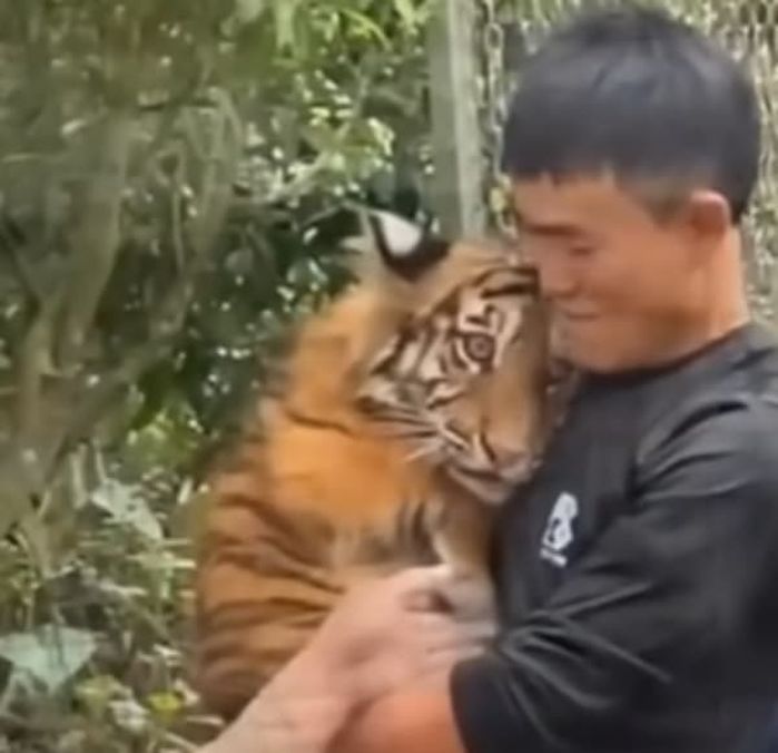 애니멀플래닛