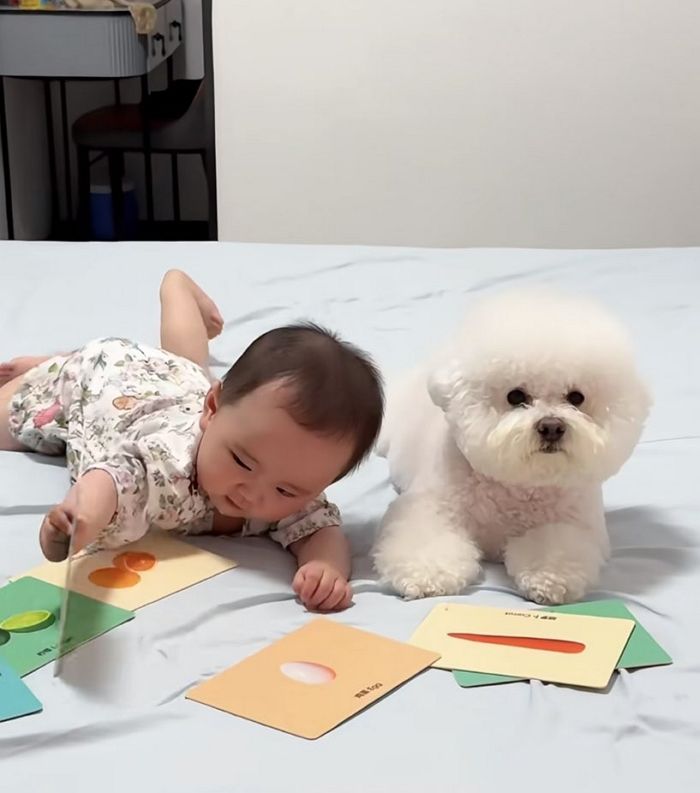 애니멀플래닛