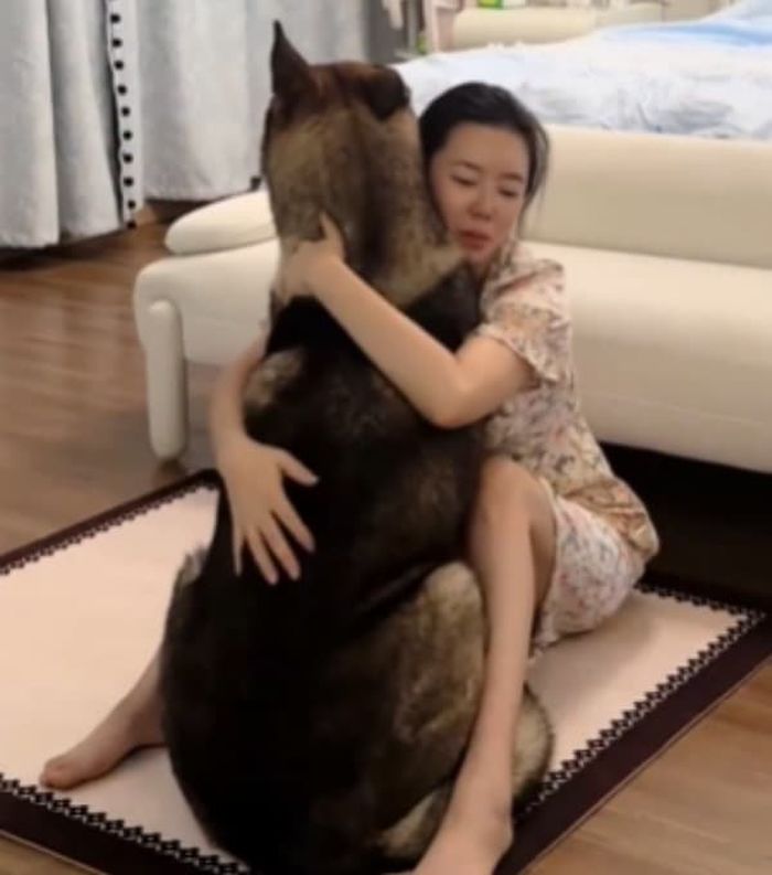 애니멀플래닛