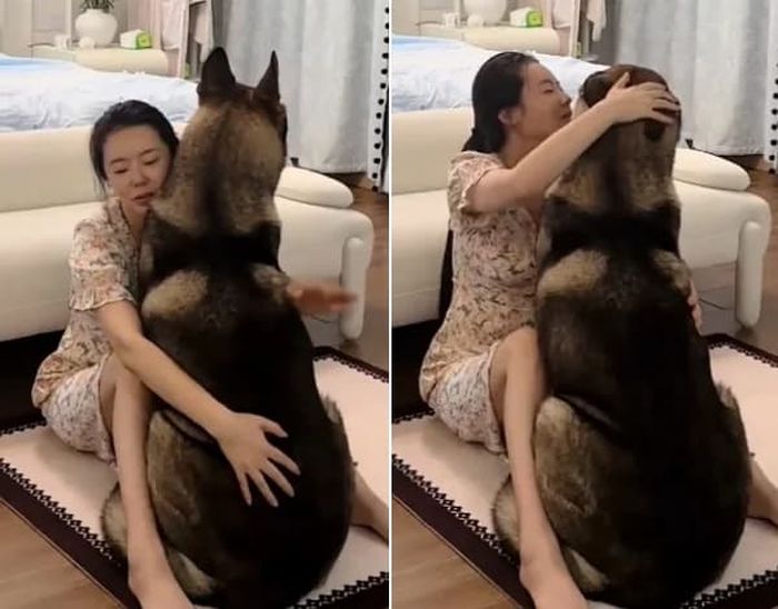 애니멀플래닛