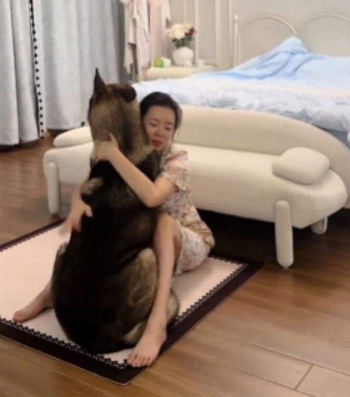 애니멀플래닛