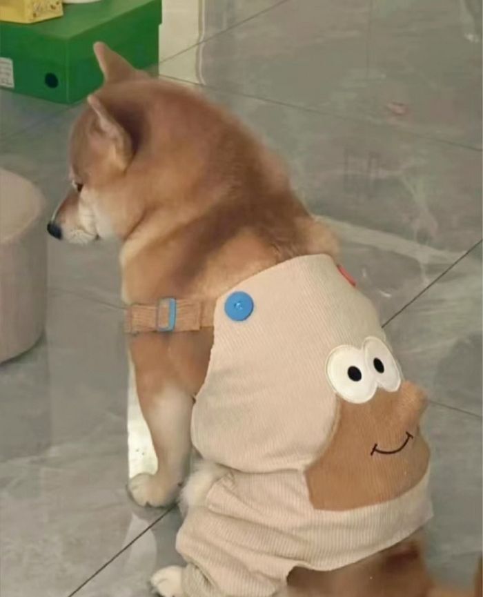 애니멀플래닛