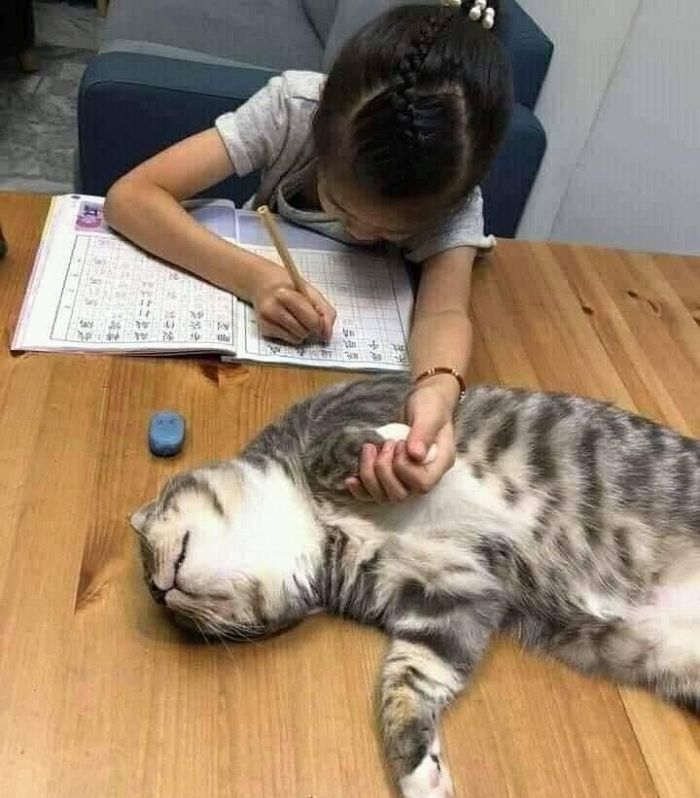 애니멀플래닛