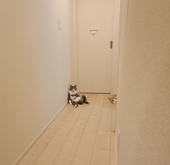 애니멀플래닛