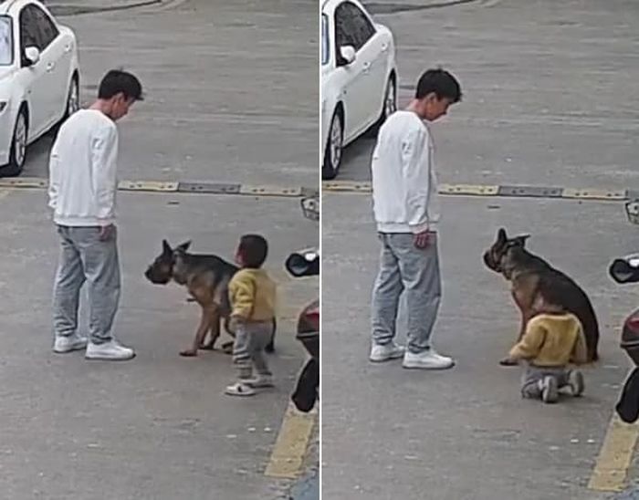 애니멀플래닛
