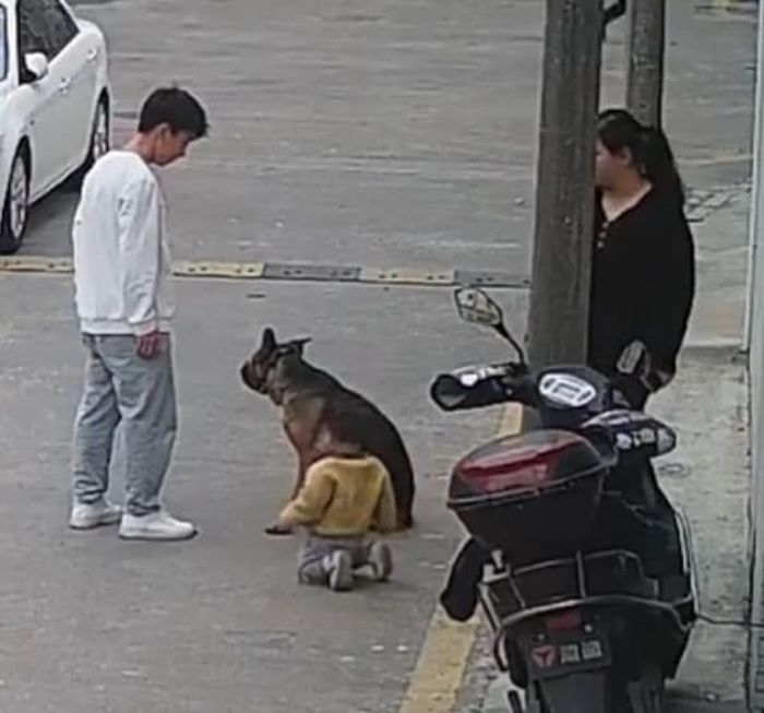 애니멀플래닛