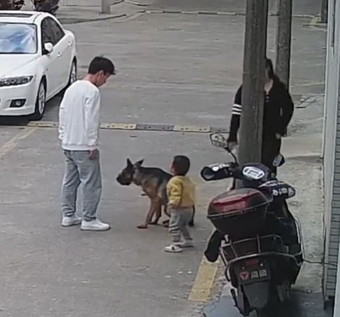 애니멀플래닛