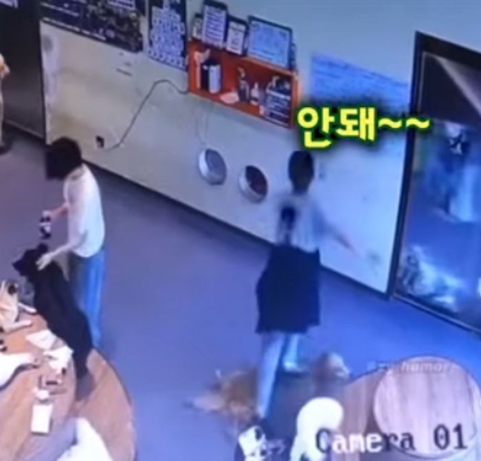 애니멀플래닛