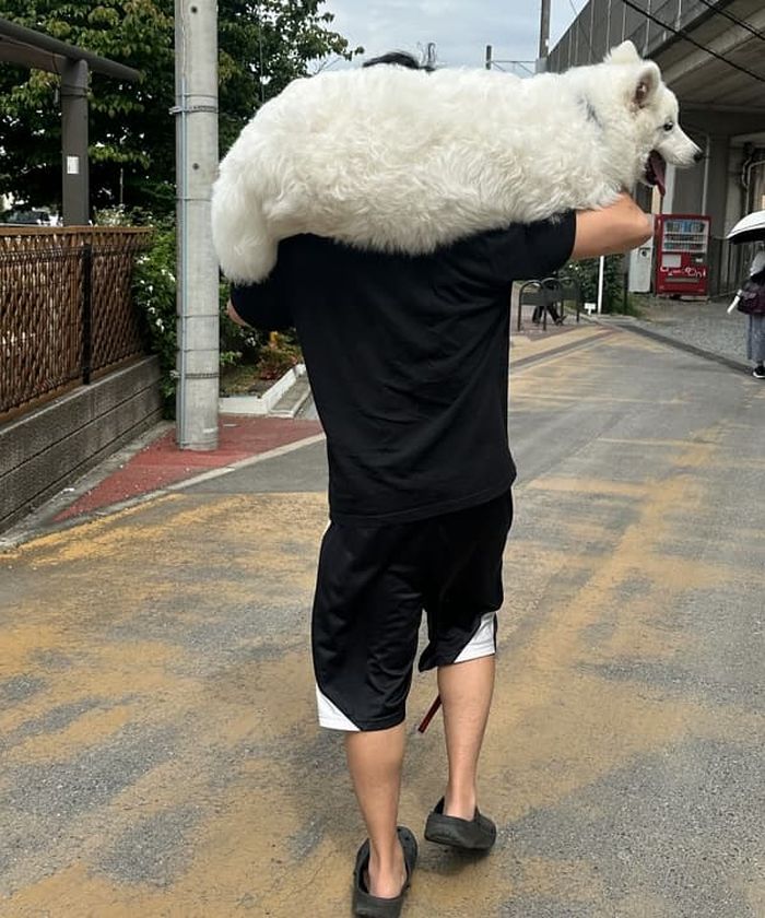 애니멀플래닛