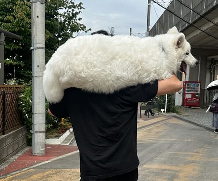 애니멀플래닛