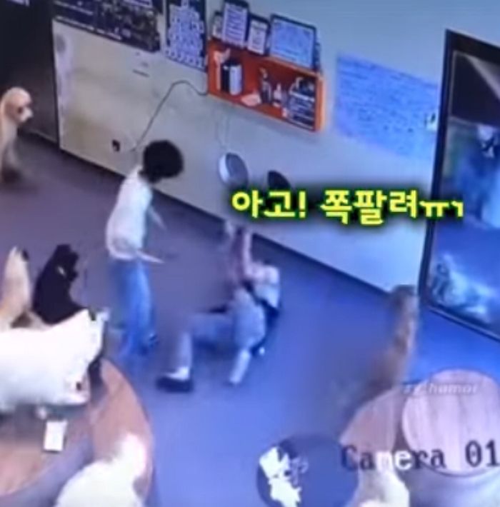애니멀플래닛