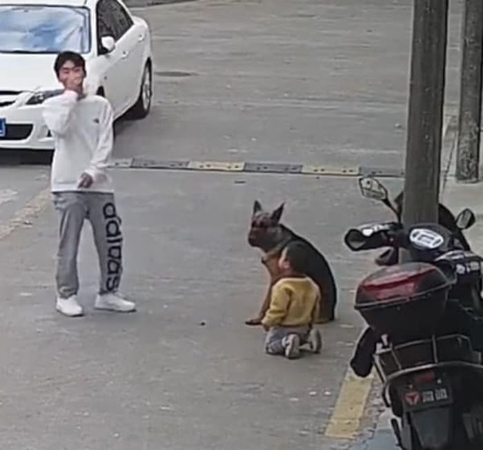 애니멀플래닛
