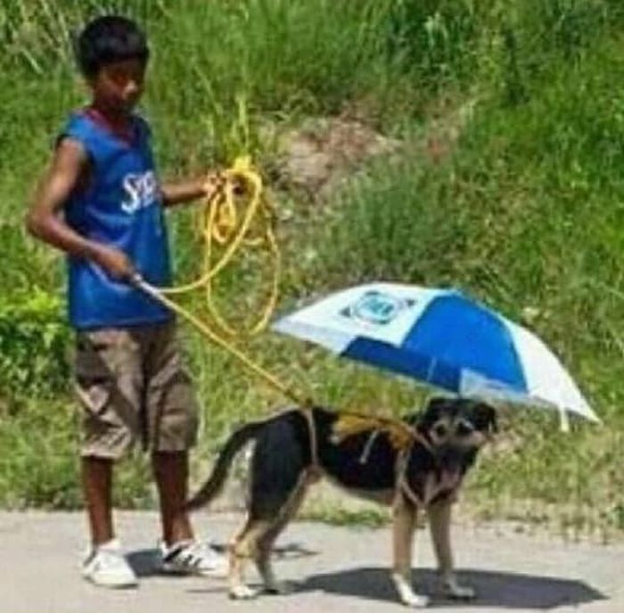 애니멀플래닛