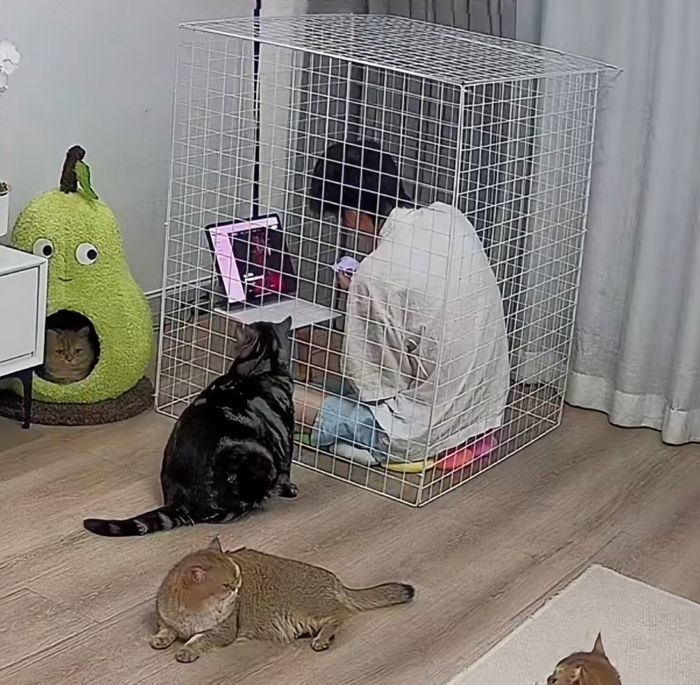 애니멀플래닛