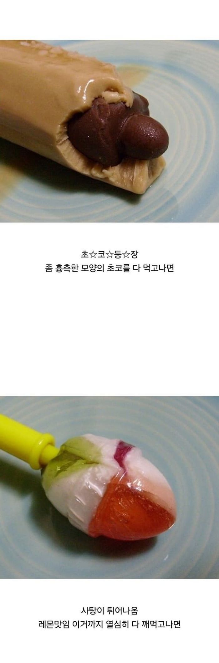 애니멀플래닛