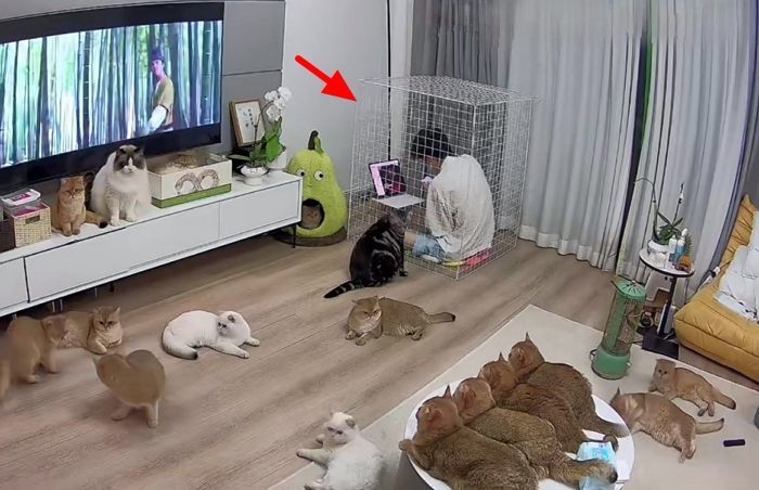 애니멀플래닛