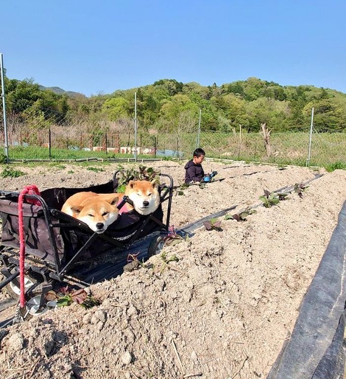 애니멀플래닛