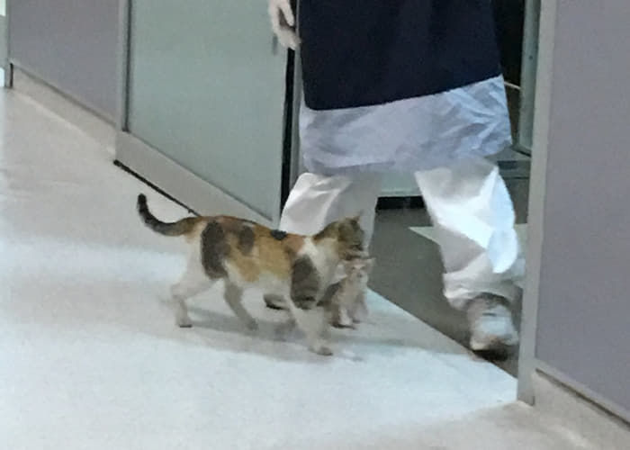 애니멀플래닛
