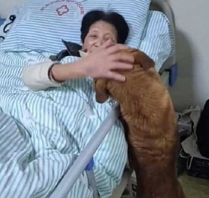 애니멀플래닛