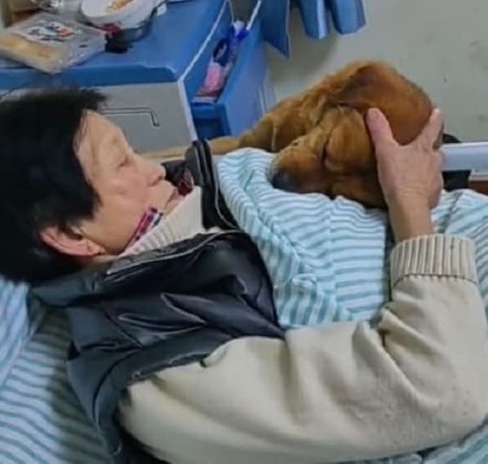 애니멀플래닛