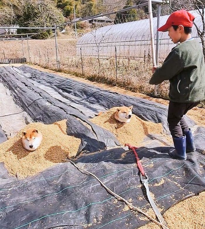 애니멀플래닛