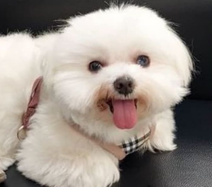 애니멀플래닛