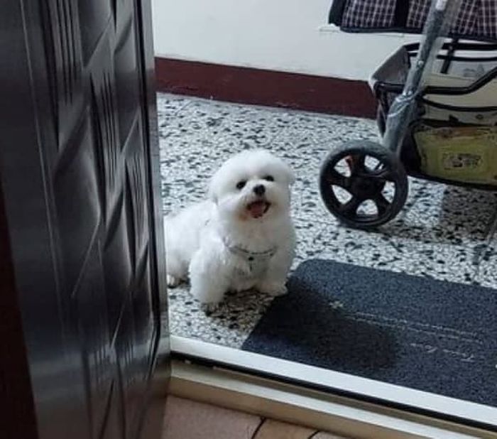 애니멀플래닛