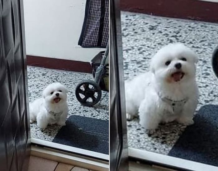 애니멀플래닛