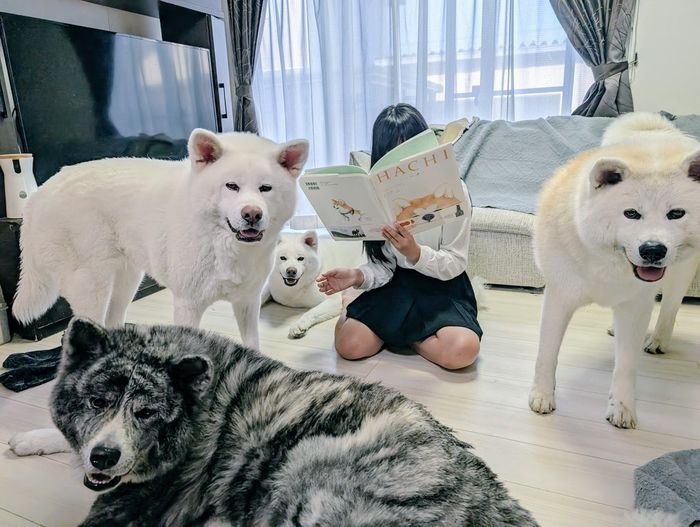 애니멀플래닛