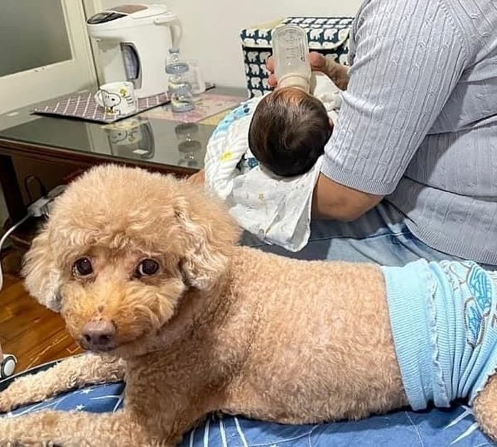 애니멀플래닛