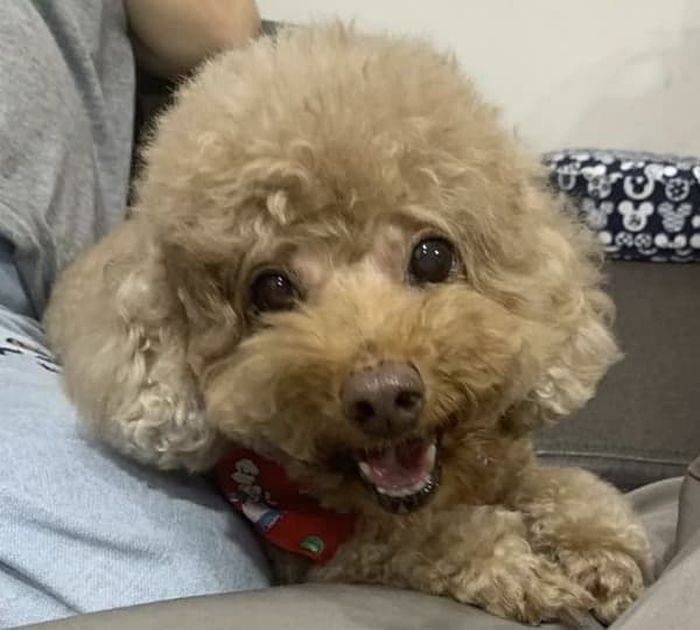 애니멀플래닛