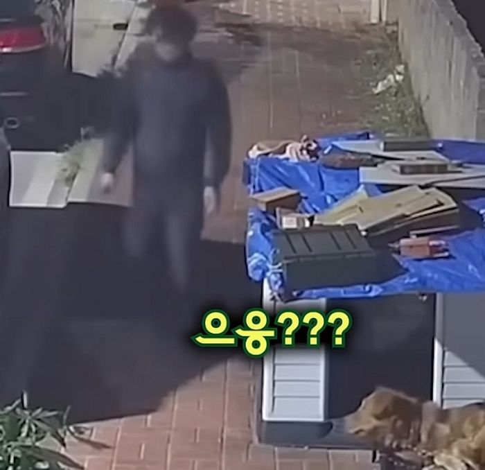 애니멀플래닛