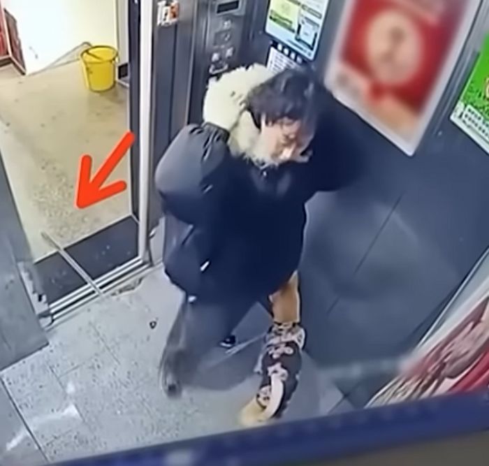 애니멀플래닛
