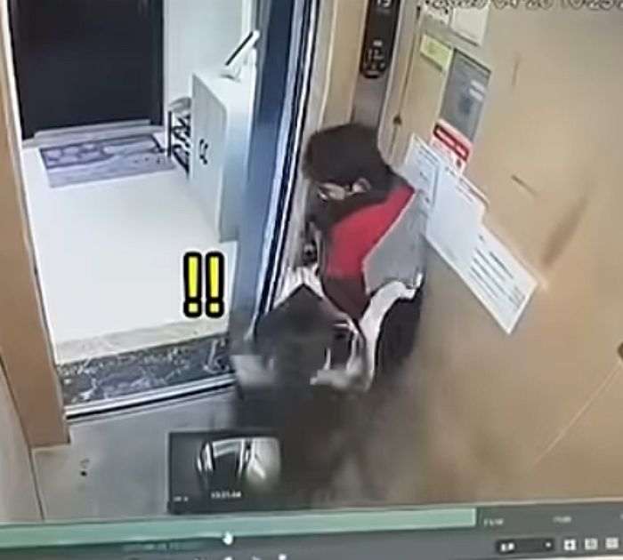 애니멀플래닛