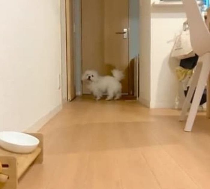애니멀플래닛
