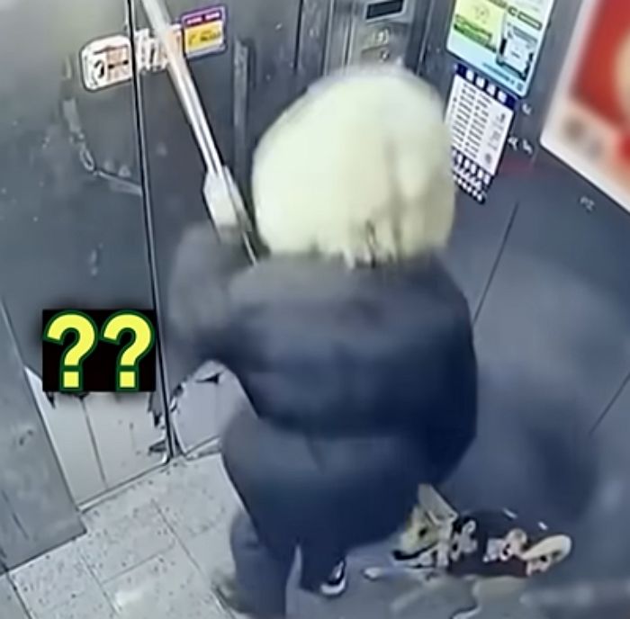 애니멀플래닛