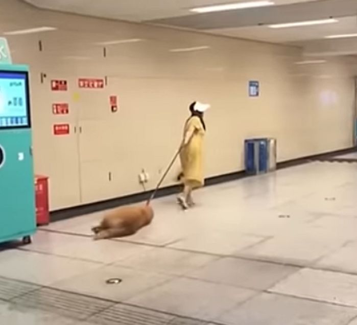 애니멀플래닛