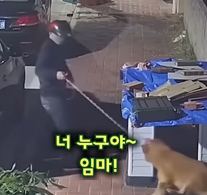 애니멀플래닛