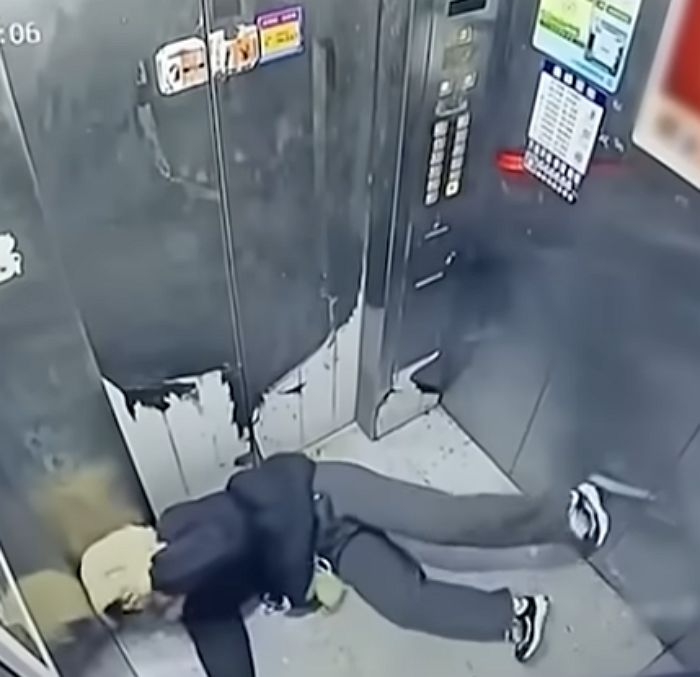 애니멀플래닛