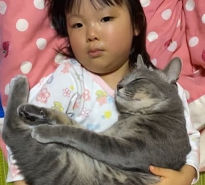 애니멀플래닛