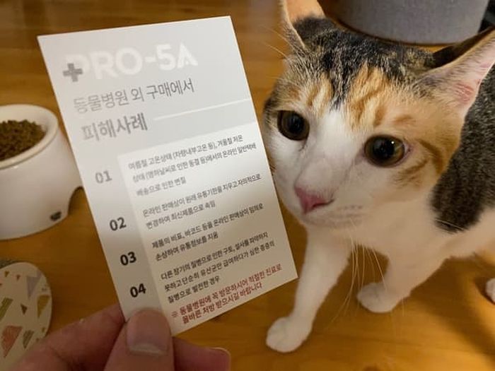 애니멀플래닛